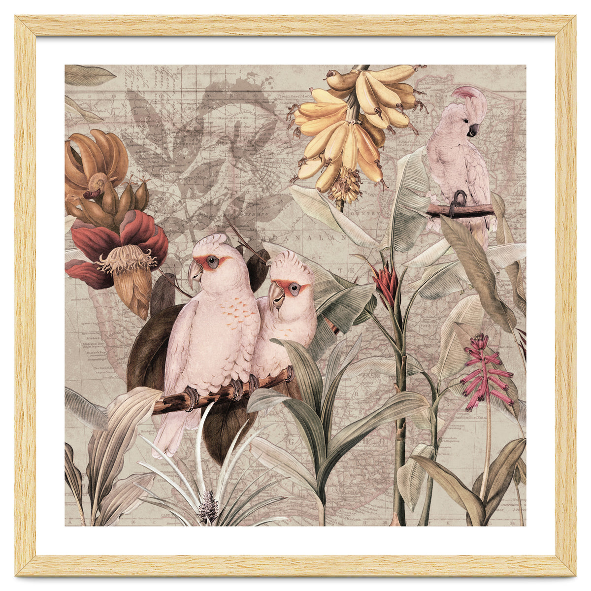 Cockatoo Exotic Bird Jungle