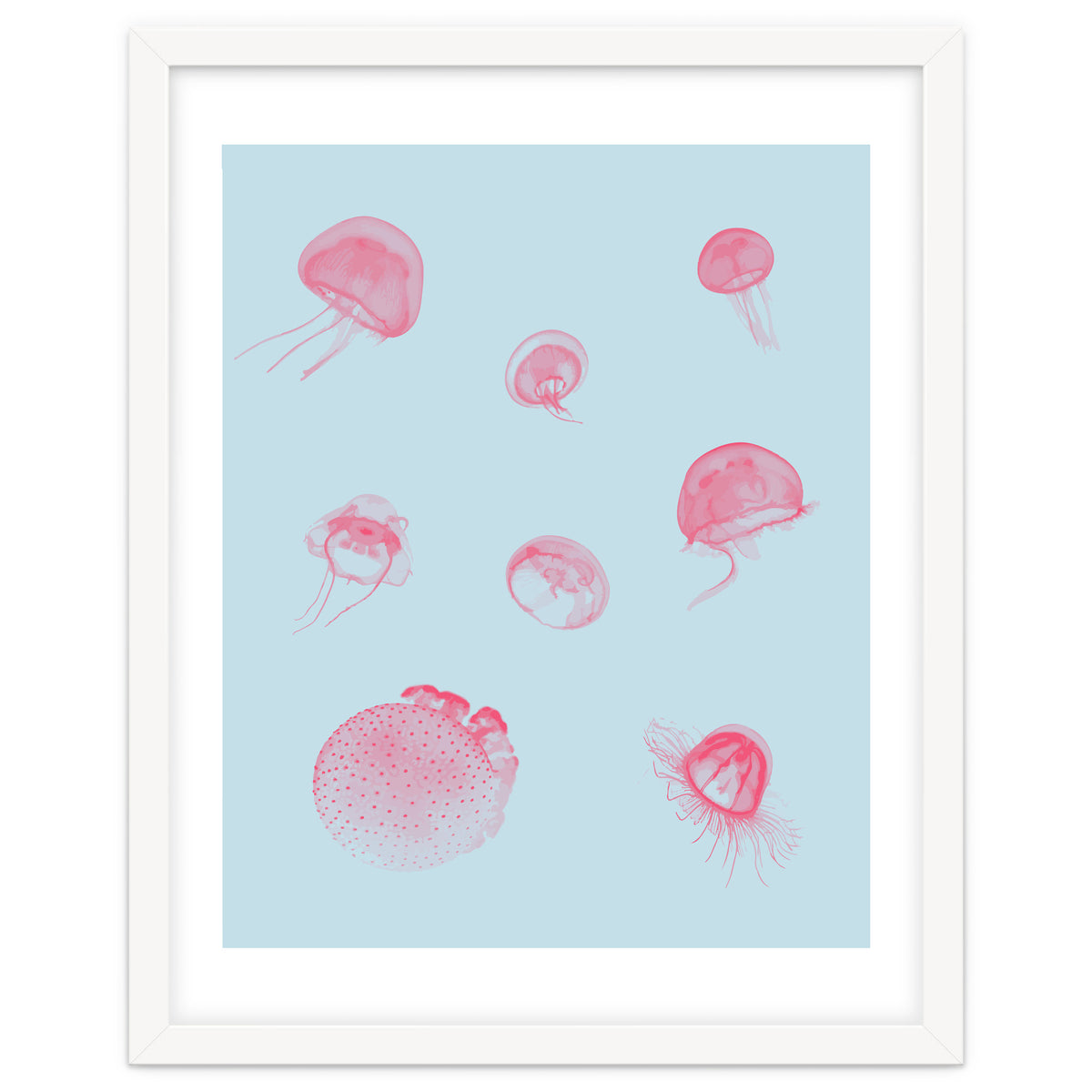 Jellyfish