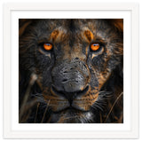 Majestic Lion Face Intense Orange Eyes Close Up thumbnail