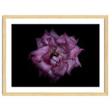 Backyard Flowers No 111 Color Version thumbnail