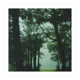 Silence of breath - 13 (Print Only) thumbnail