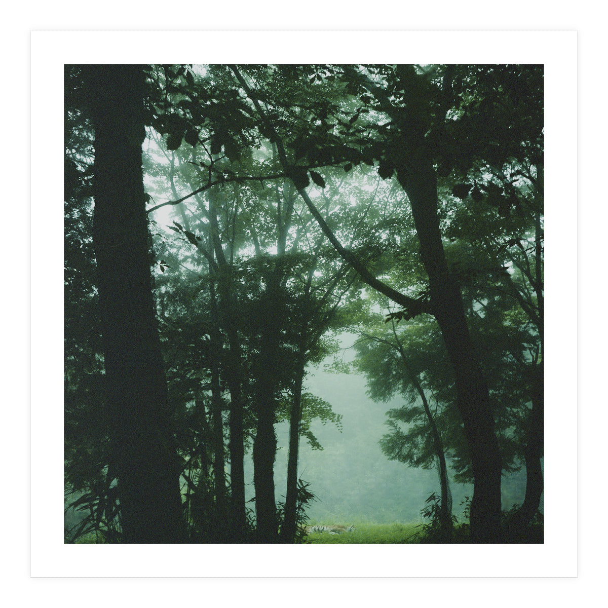 Silence of breath - 13 (Print Only)