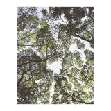 Mother Nature (Print Only) thumbnail