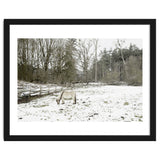 White horse in the snow field thumbnail