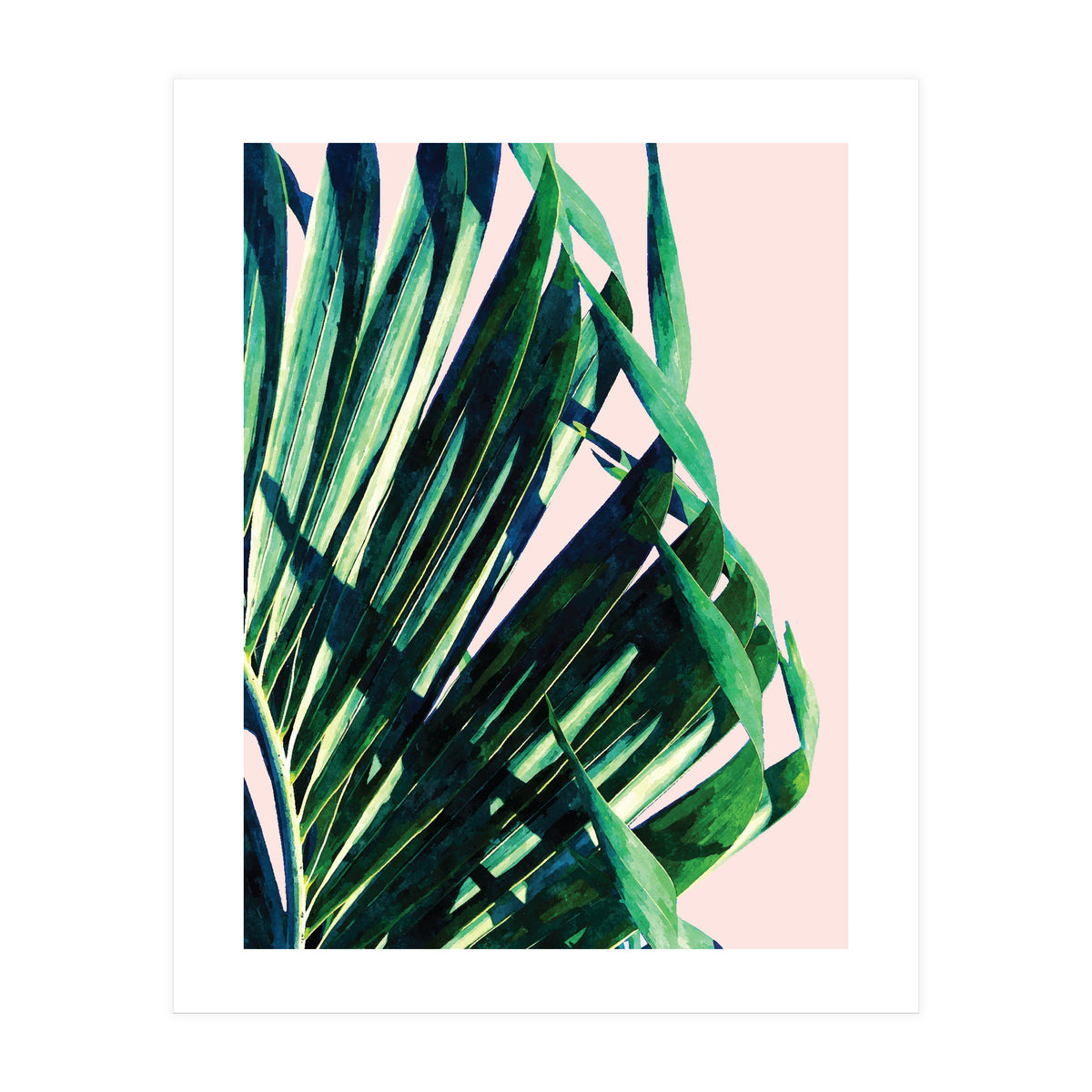 Palm V2 (Print Only)