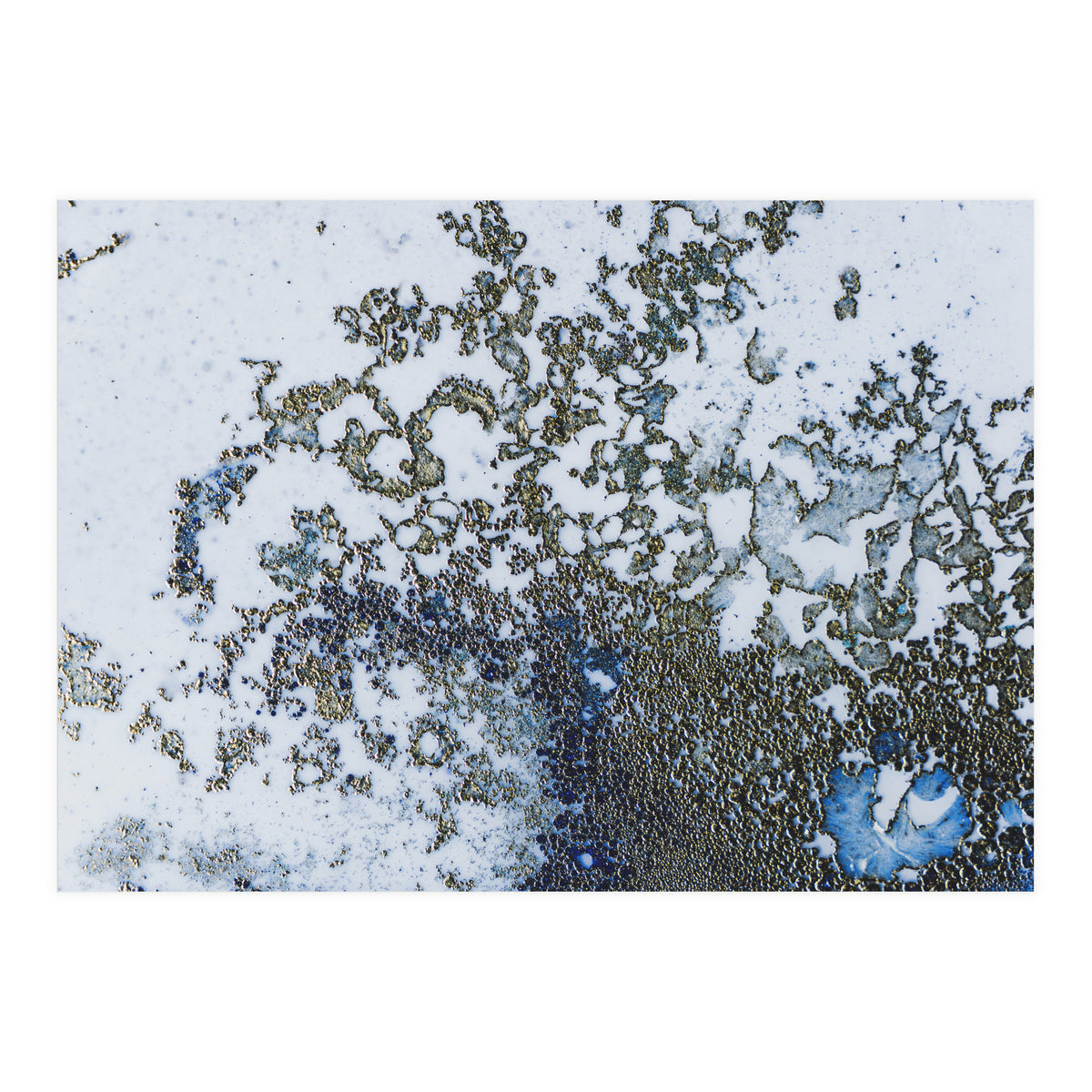 Coral Rising (Print Only)