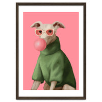 Bubblegum Pup