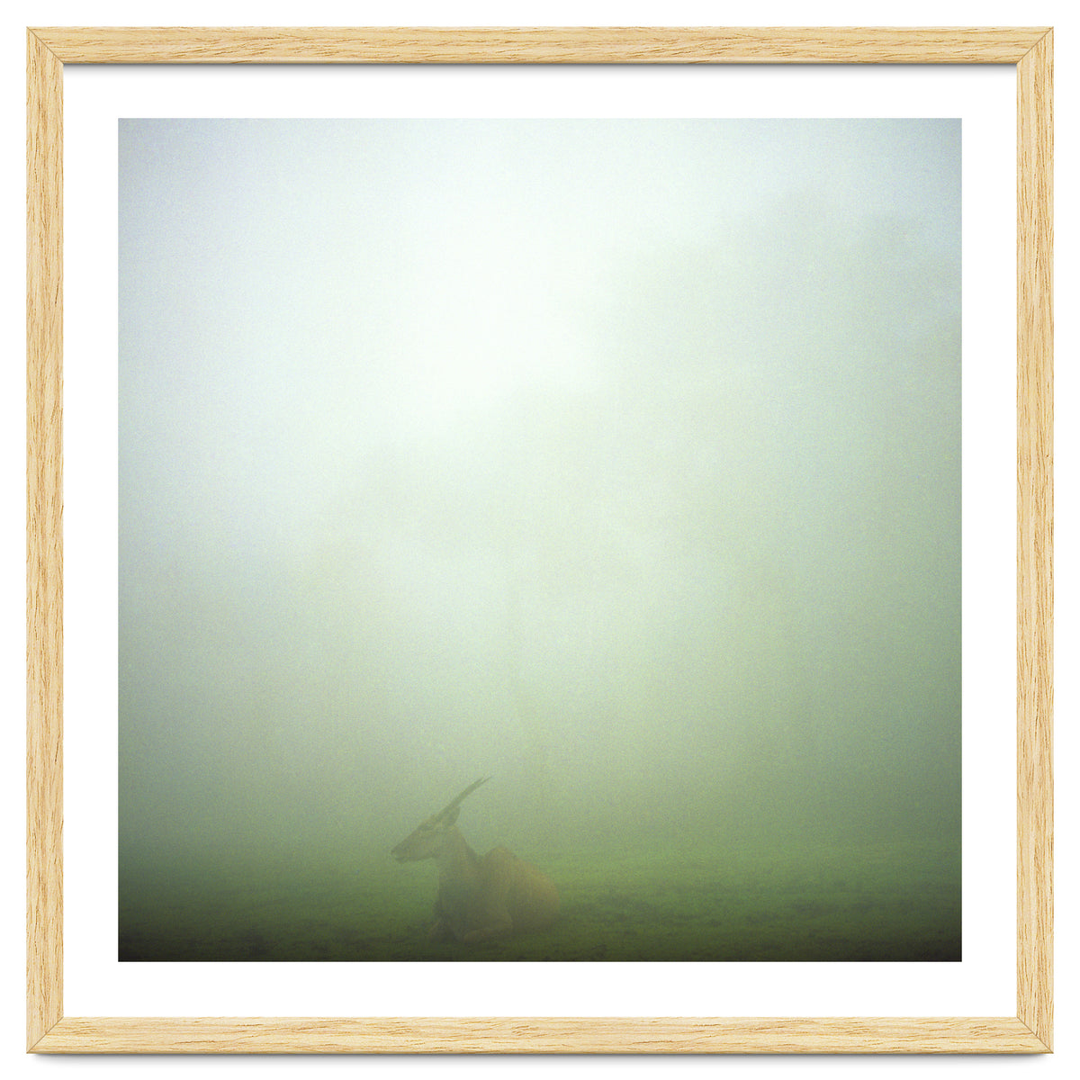 Silence of breath - 06