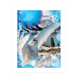 Snow Owl (Print Only) thumbnail