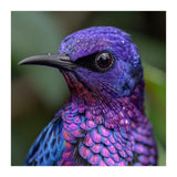 Vibrant Purple Bird With Water Droplets (Print Only) thumbnail