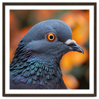 Close Up Of A Pigeon's Head And Neck