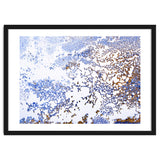 Coral Blooming thumbnail