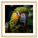 Close Up Of A Colorful Macaw Parrot Face thumbnail