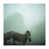 Silence of breath - 16 (Print Only) thumbnail