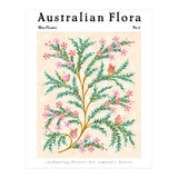 Australian Flora: Wax Flower (Print Only) thumbnail