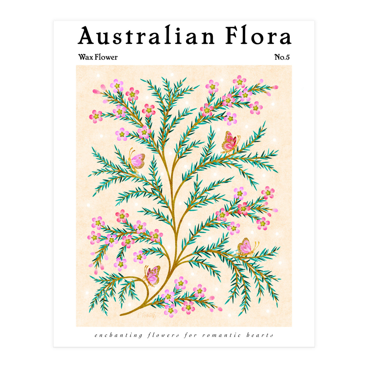 Australian Flora: Wax Flower (Print Only)