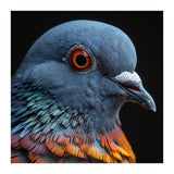 Close Up Of A Pigeon Bird (Print Only) thumbnail