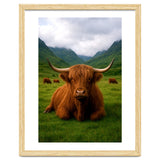 Highland Cow in Scotland thumbnail