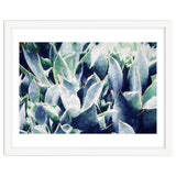 Cactus Garden thumbnail
