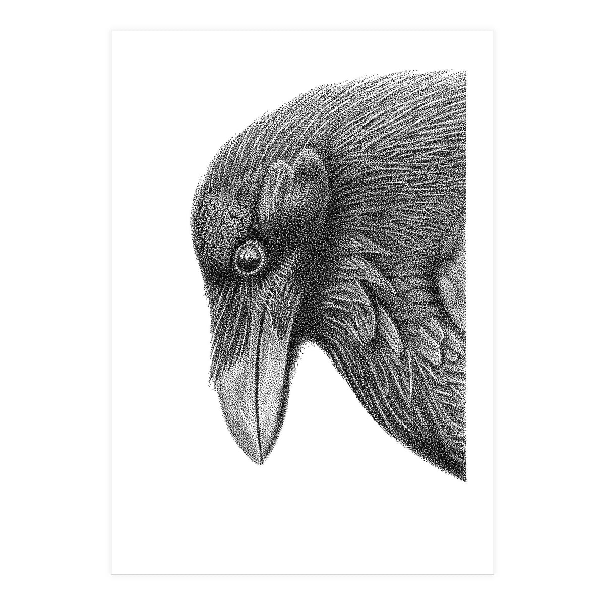 Huginn (Print Only)
