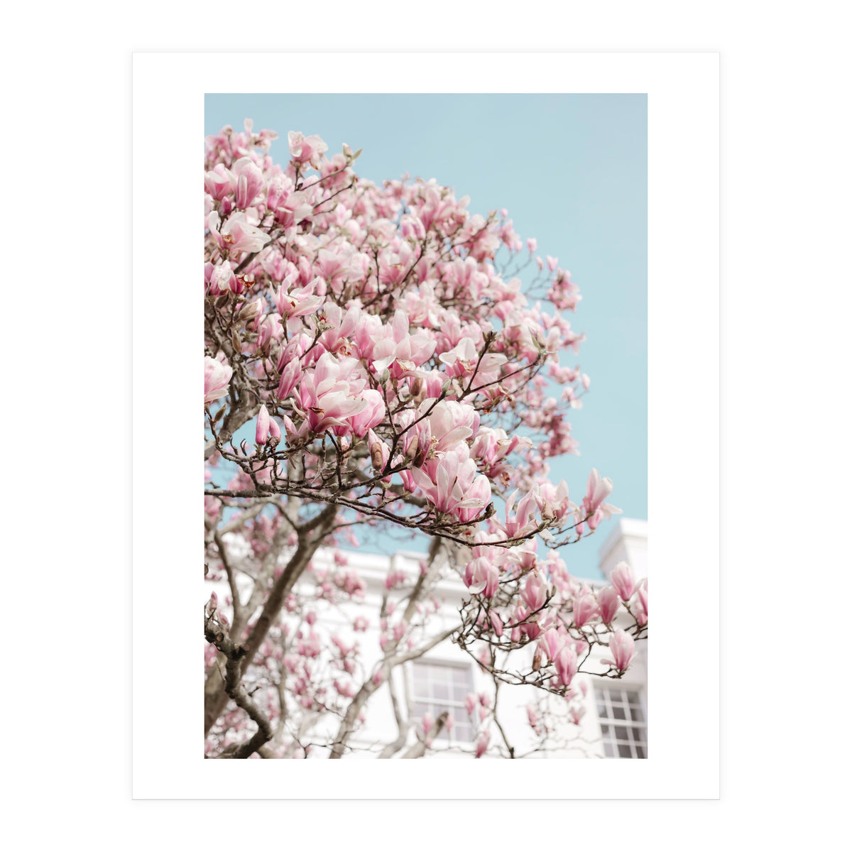 Spring Time (Print Only)
