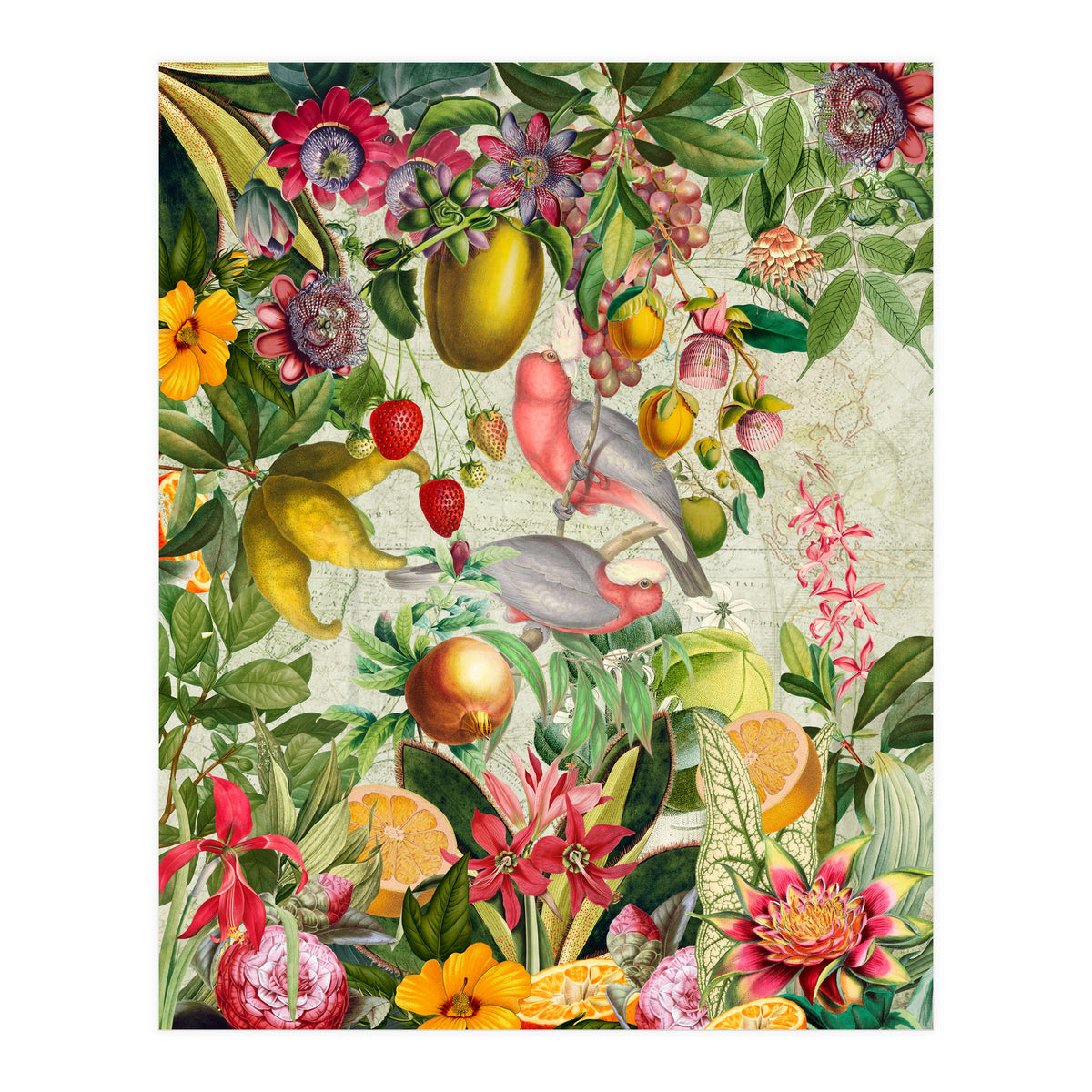 Pink Cockatoo vintage jungle  (Print Only)