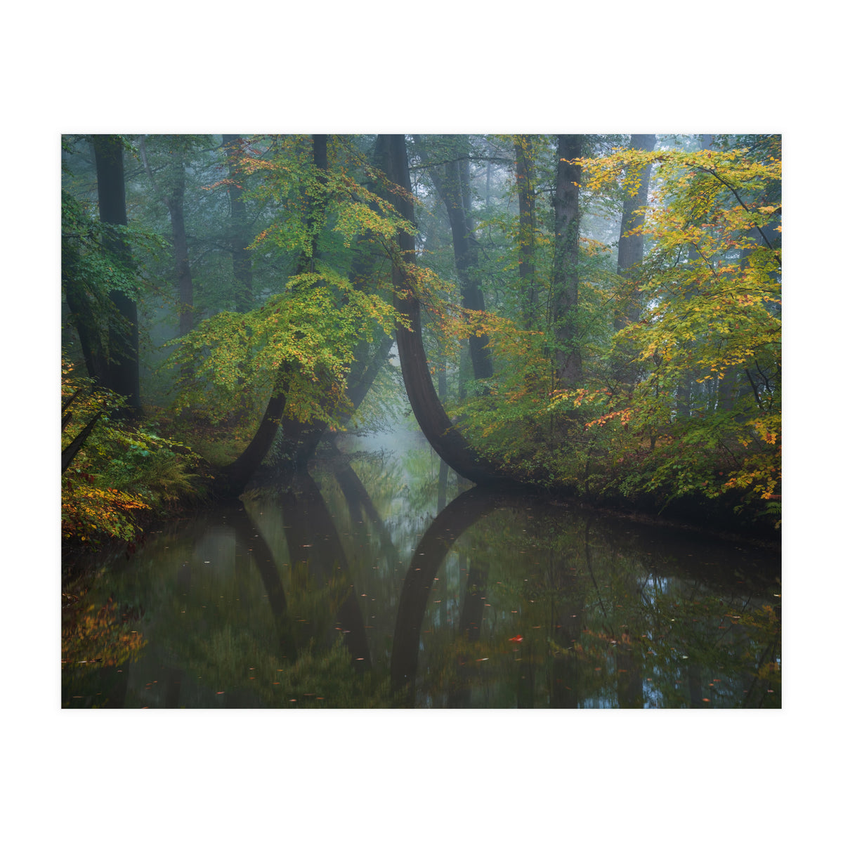 The bent ones (Print Only)