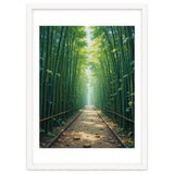 The Emerald Path: A Sun-Drenched Journey thumbnail
