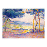 Pines Along the Shore. (Print Only) thumbnail