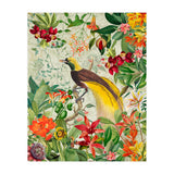 Bird of paradise vintage jungle  (Print Only) thumbnail
