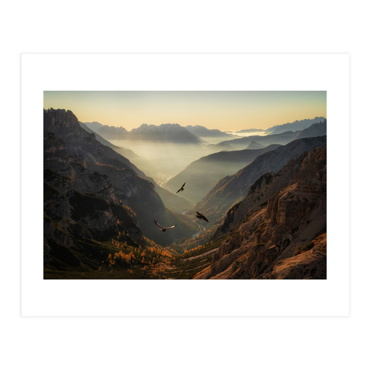 Fly away (Print Only)