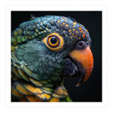 Close Up Of A Colorful Parrot's Face (Print Only) thumbnail