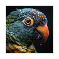 Close Up Of A Colorful Parrot's Face (Print Only)
