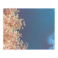 Leaves And Sky (Print Only)