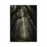 Enchanted Canopy: Mystical Forest Path (Print Only) thumbnail