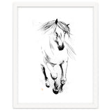 Runninh Ghorse In Water thumbnail