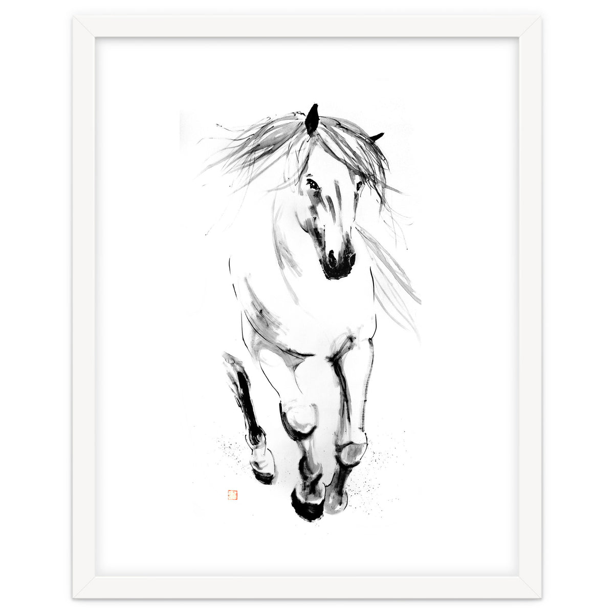 Runninh Ghorse In Water