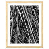 Black Tectorius Plant Shoots Art thumbnail