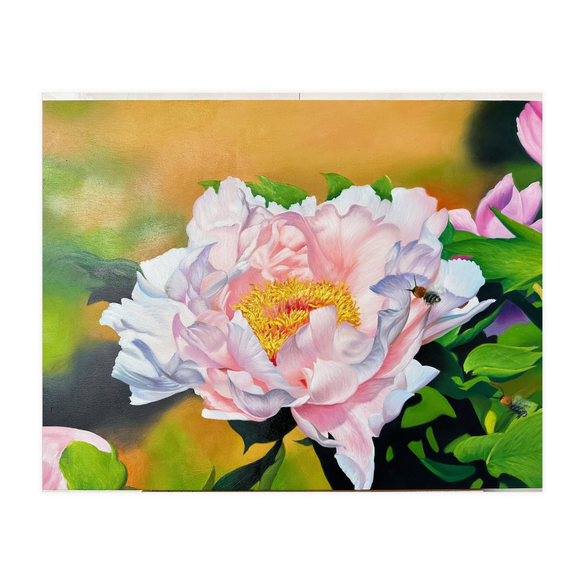 peony (Print Only)