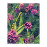 Aliyah (Print Only) thumbnail