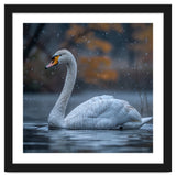 Swan Floating Gracefully On Water In Autumn thumbnail