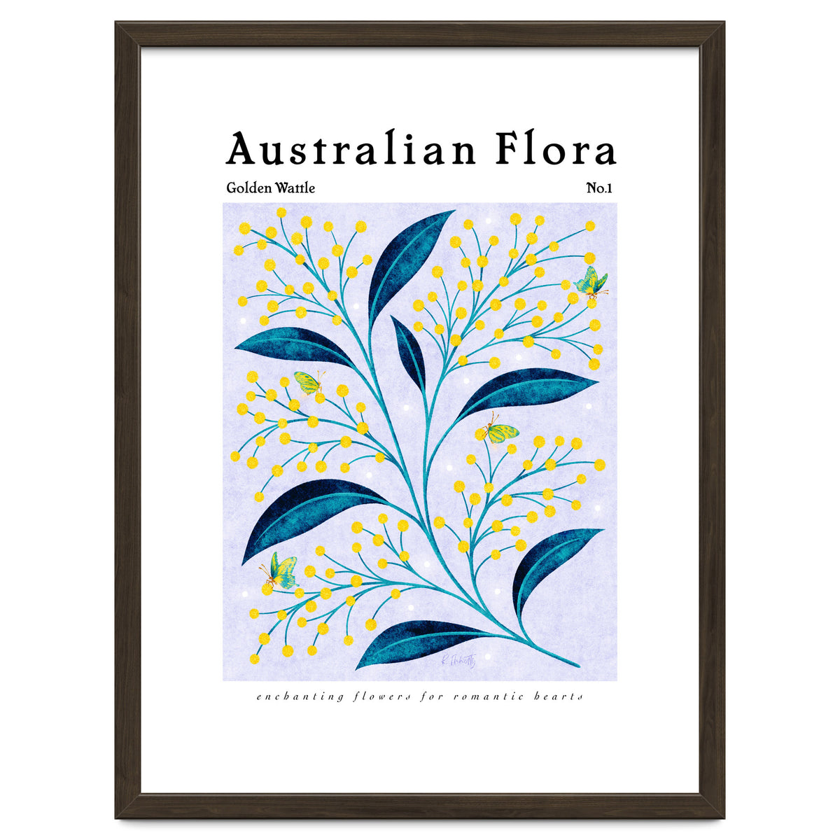 Australian Flora: Golden Wattle