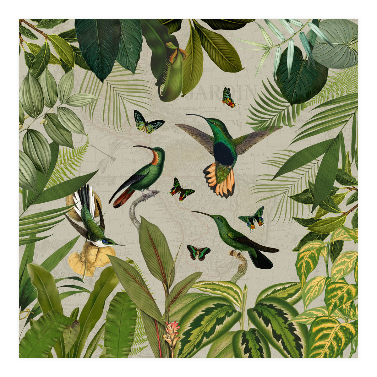 Vintage Exotic Hummingbirds Jungle (Print Only)