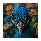 Close Up Portrait Of A Peacock Head (Print Only) thumbnail