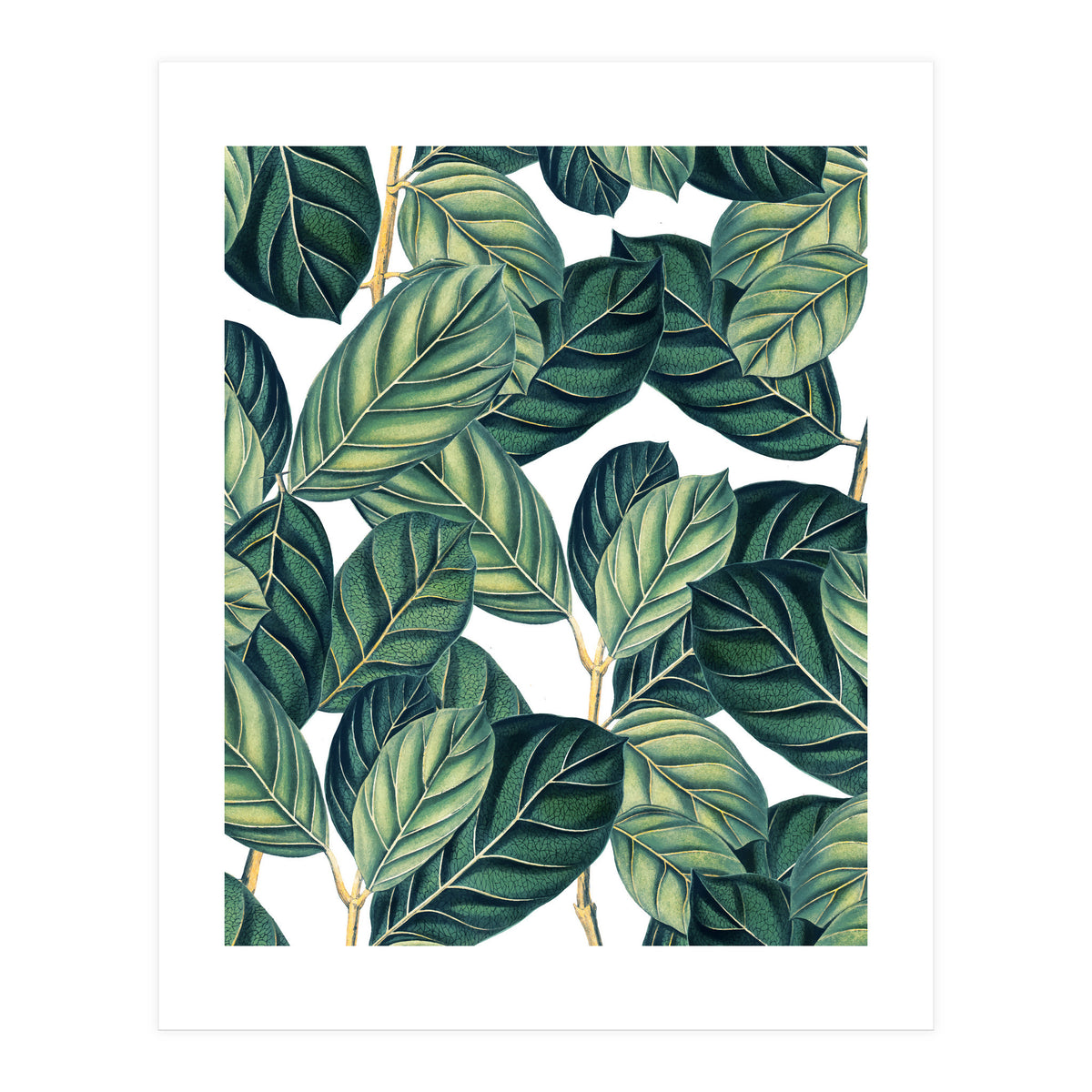 Botany #society6 #decor #buyart (Print Only)