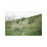 Green grass wall (Print Only) thumbnail