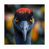 Close Up Of A Strikingly Beautiful Bird Face (Print Only) thumbnail