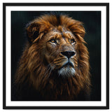 Majestic Lion Portrait In Gentle Rain thumbnail