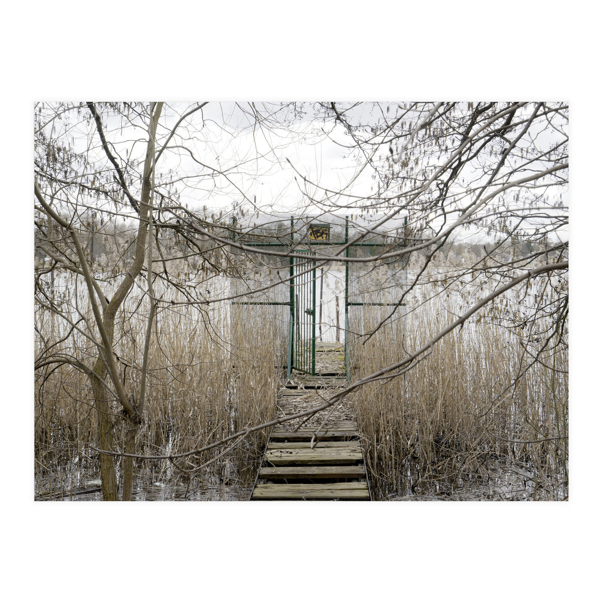 The gate to the lake (Print Only)