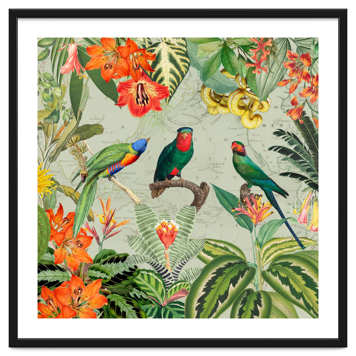 Exotic Parrots Jungle Landscape